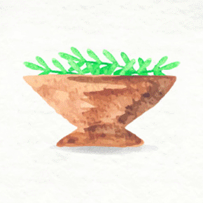 善於指油壓的按摩師